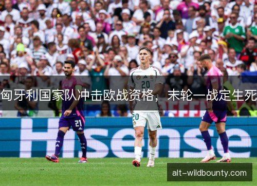 匈牙利国家队冲击欧战资格，末轮一战定生死