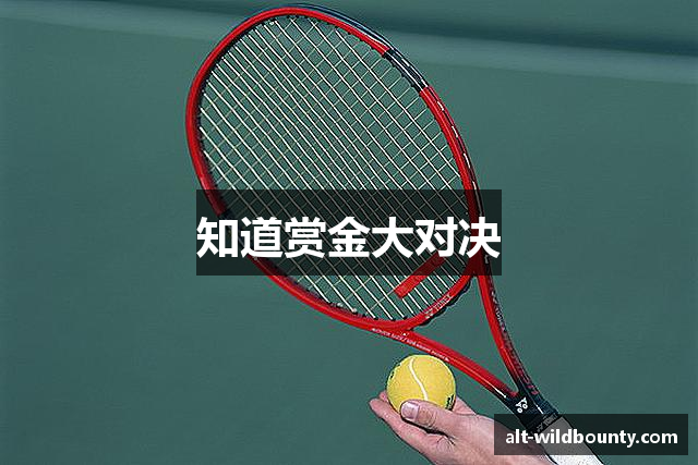 知道赏金大对决